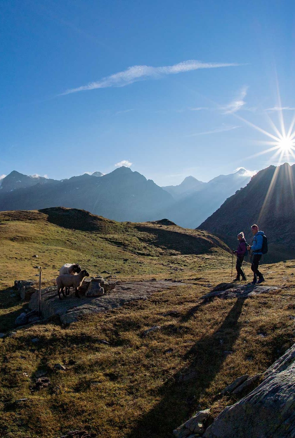 Bergwetter <br/> Vorschau